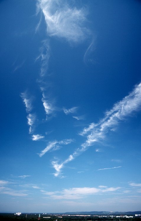 Wolken Karlsruher Wolkenatlas Cirrus Fibratus Vertebratus Radiatus